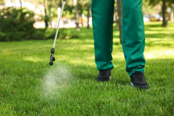Bloomington, CA Pest Control Company