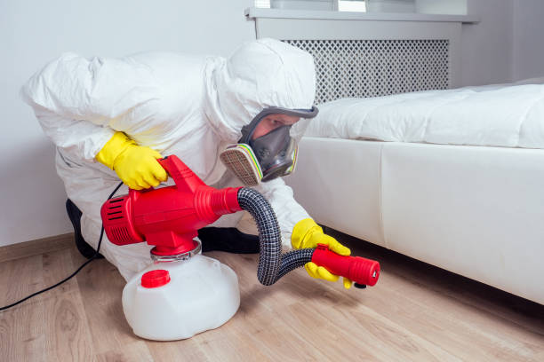 Best Termite Control Services  in Bloomington, CA