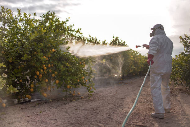 Best Cockroach Control Services  in Bloomington, CA