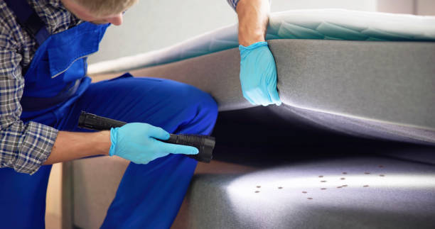 Best Bed Bug Extermination  in Bloomington, CA