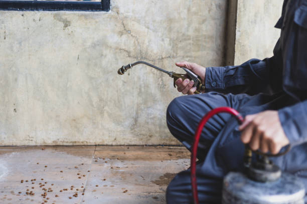 Best Local Pest Control Services  in Bloomington, CA