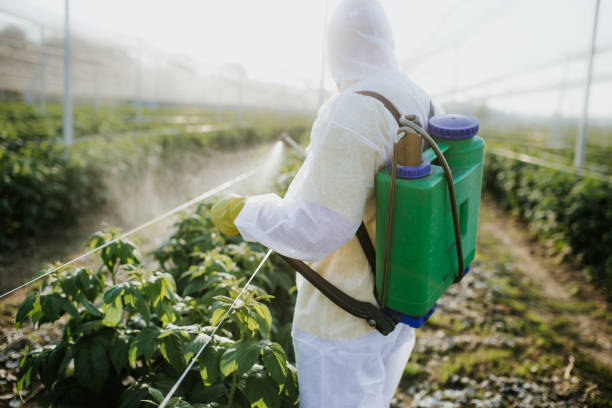 Best Best Pest Control Companies  in Bloomington, CA